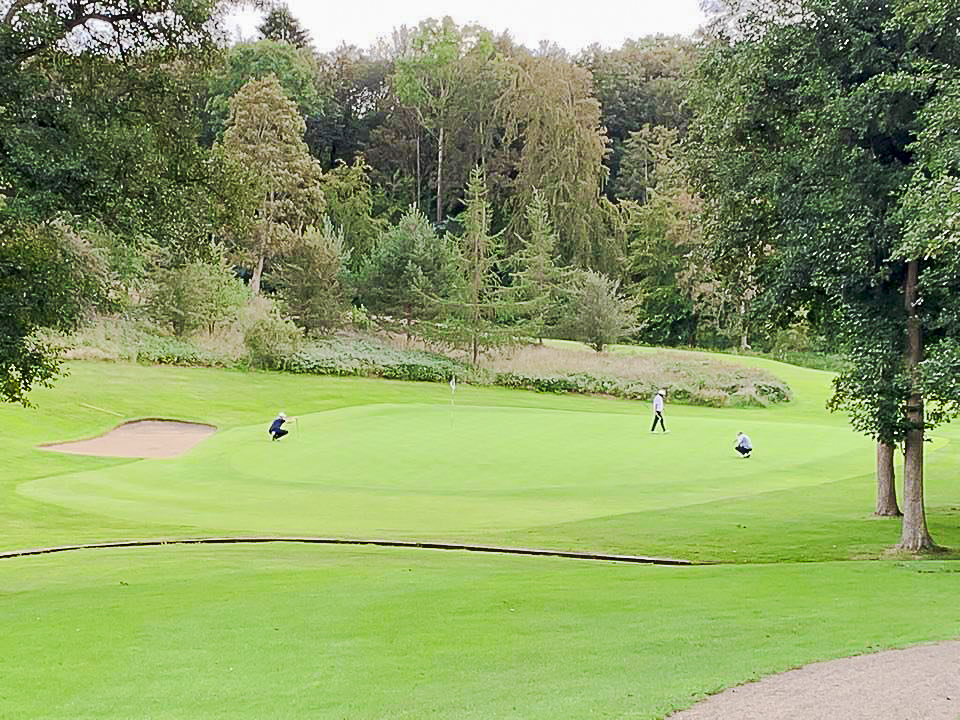 - Golfsamband Íslands