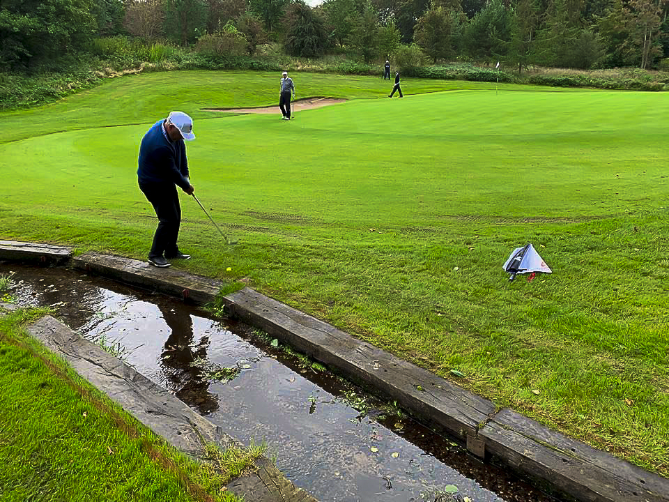 - Golfsamband Íslands