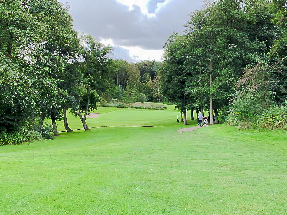 - Golfsamband Íslands