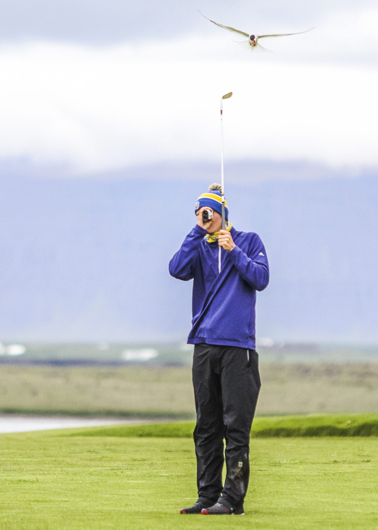 - Golfsamband Íslands