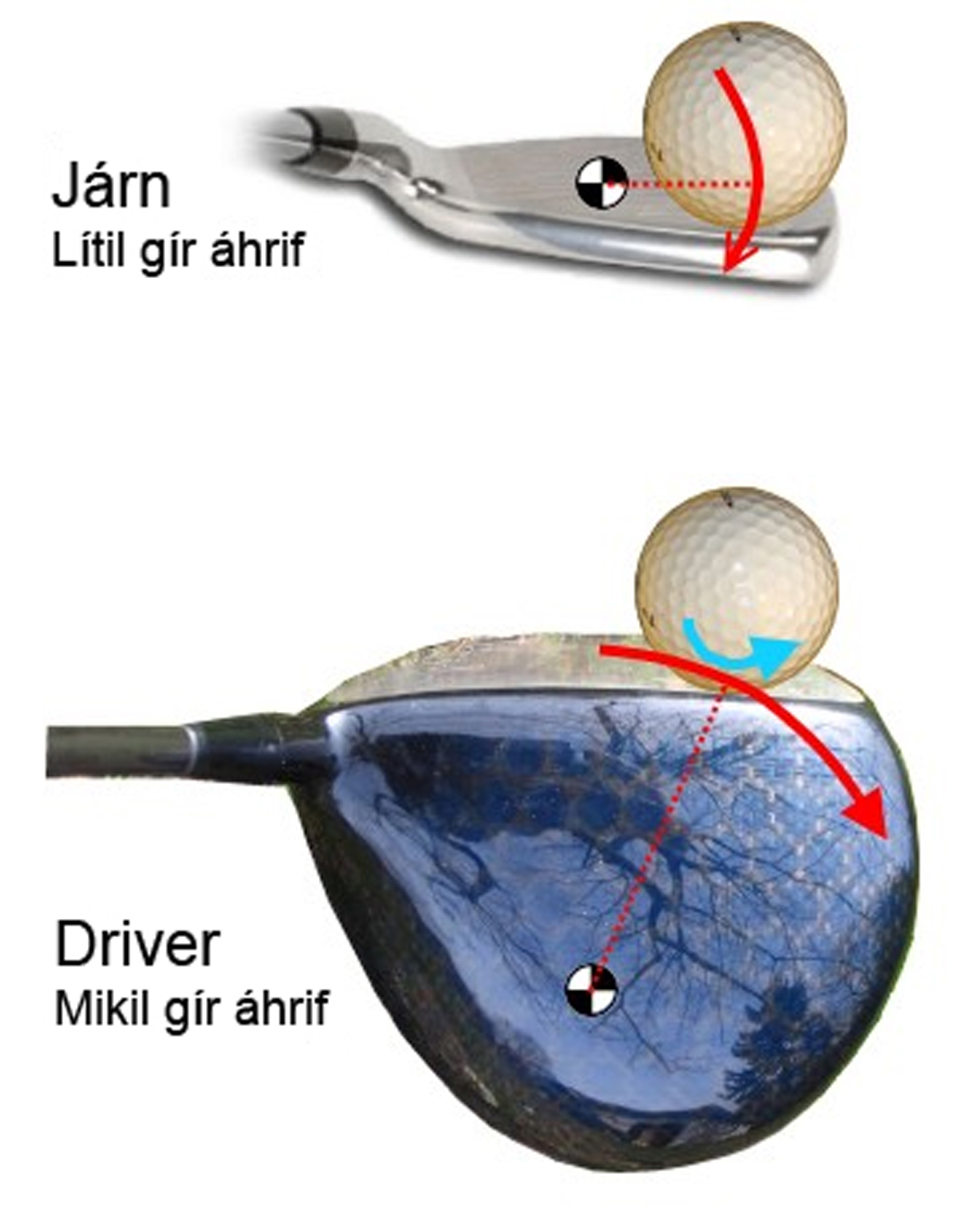 - Golfsamband Íslands