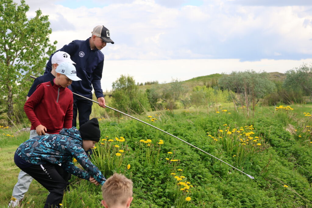 499A0491 - Golfsamband Íslands Three children in a grassy field with yellow flowers, one bending over while holding a long pole; a small brown dog is nearby.