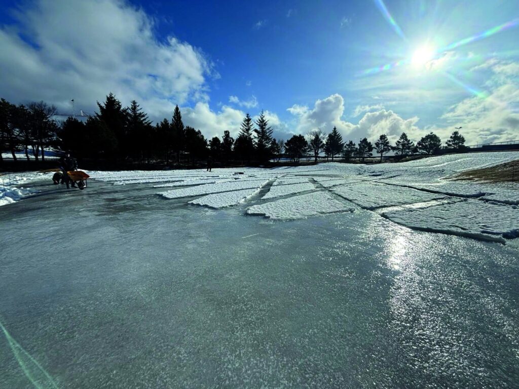 Icy lake with cracked patches of snow, two people with an orange wheelbarrow on the left, and trees along the shore under a bright sun.