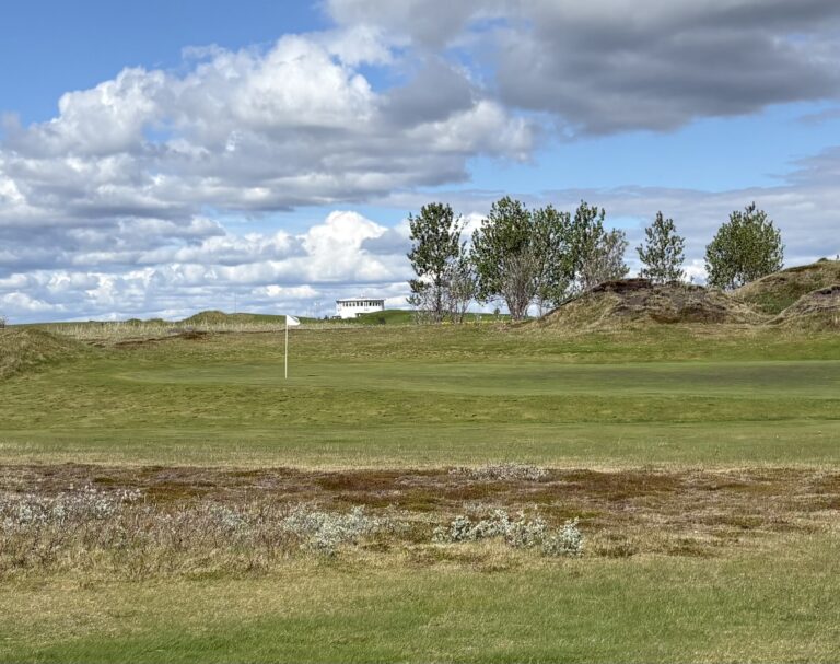Grassy landscape with low dunes, a few trees, and a distant white building under a partly cloudy blue sky.