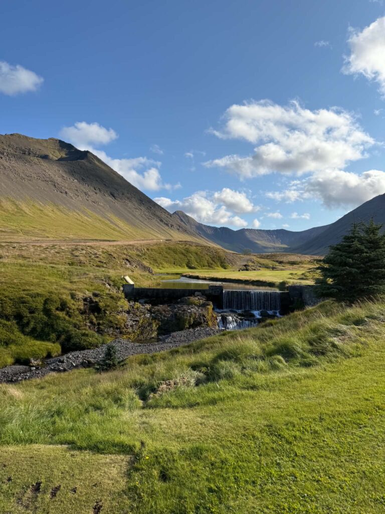 þingeyri - Golfsamband Íslands